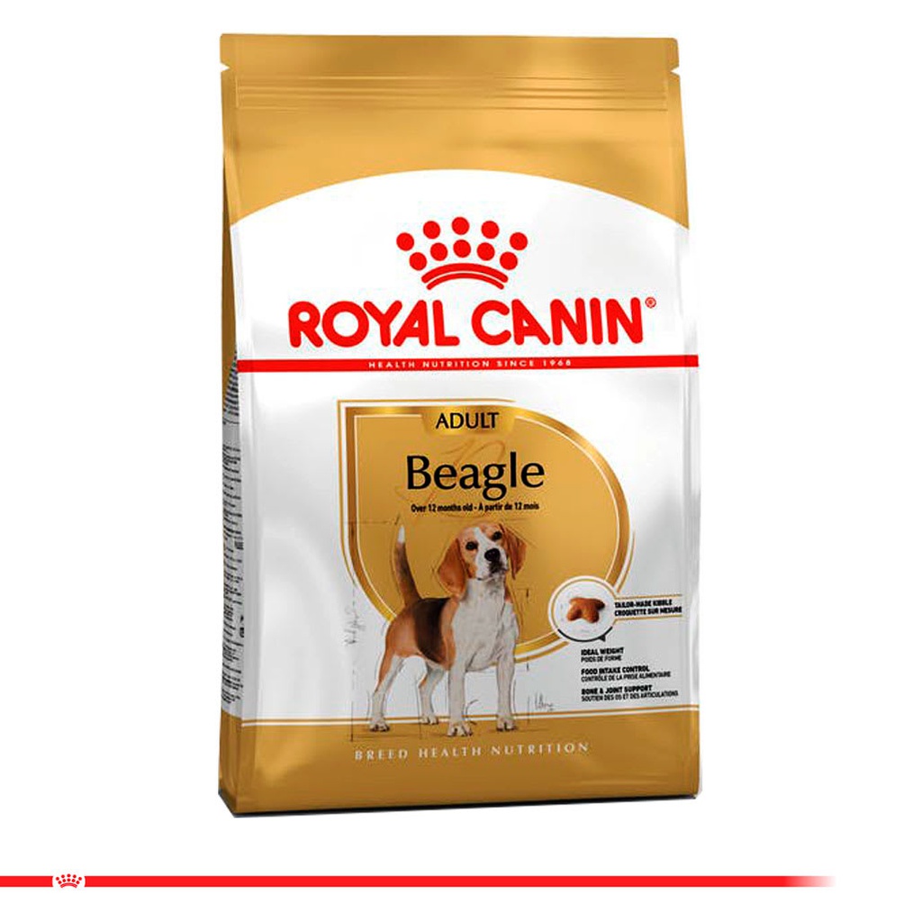 ROYAL CANIN Beagle Adult