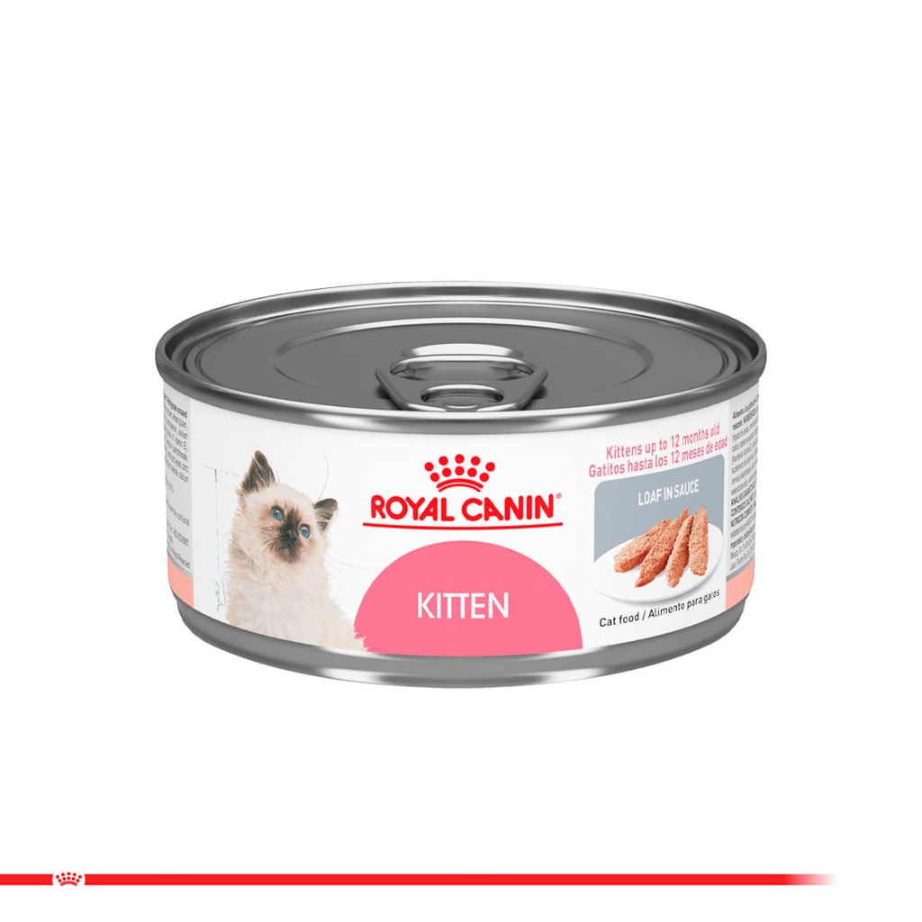ROYAL CANIN Kitten Lata