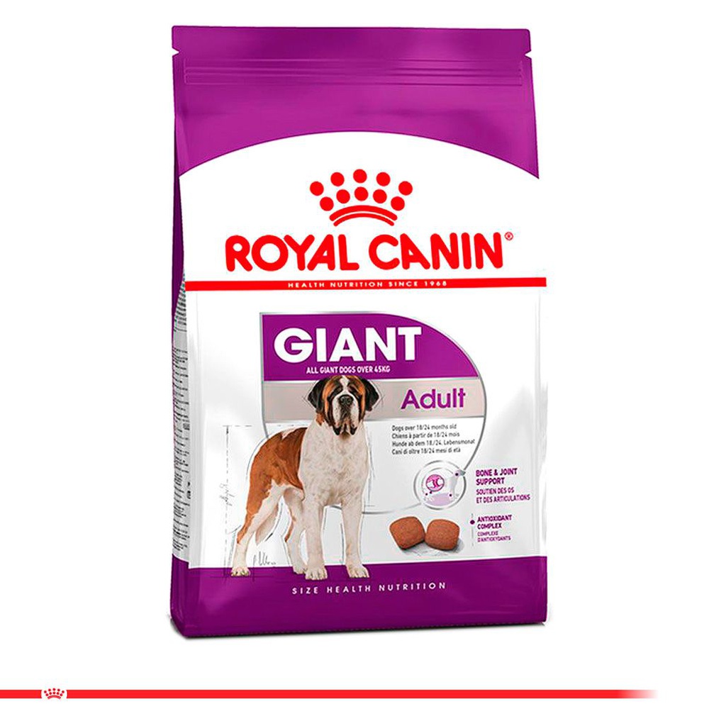 ROYAL CANIN GIANT ADULT