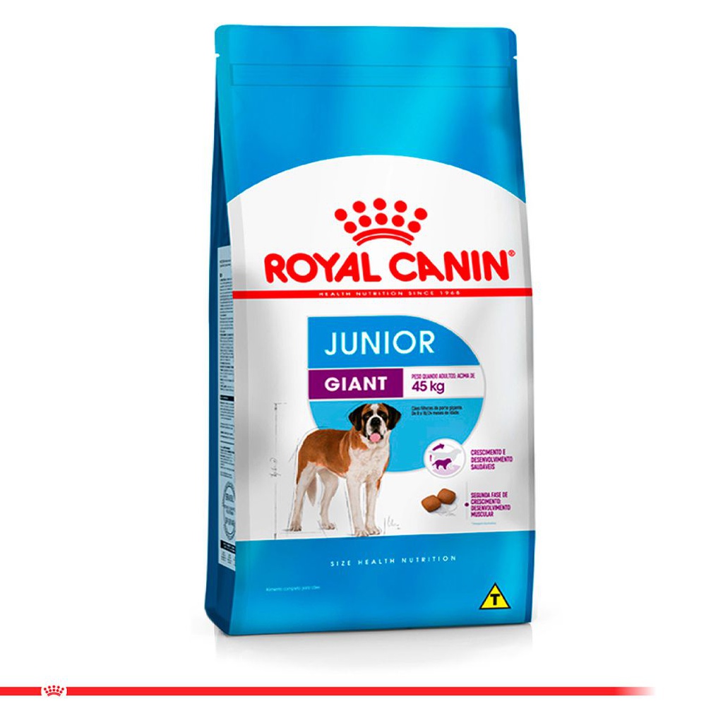 ROYAL CANIN GIANT JUNIOR 