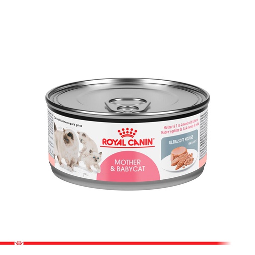 ROYAL CANIN Mother & Baby Cat Lata