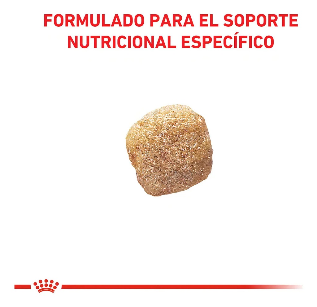 Alimento Royal Canin Hepatic Para Perro Adulto Todos Los Tamaños