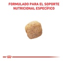 Alimento Royal Canin Hepatic Para Perro Adulto Todos Los Tamaños