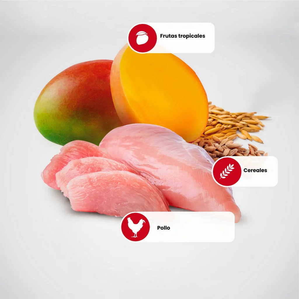 N&d Tropical Pollo Gato Adulto Saco 7kg