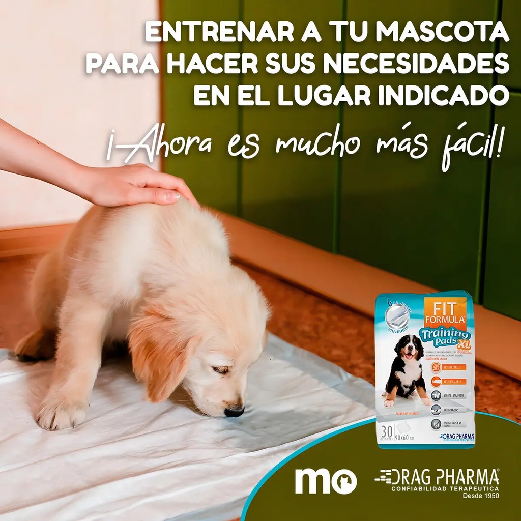 Pads Entrenamiento Perros Fit Formula 90x60cm Antibacterial 30u