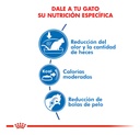 Royal Canin Indoor Gato Adulto X 7.5 Kg