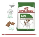 Royal Canin Mini Adulto 7.5kg  Envío Gratis Todo Chile !