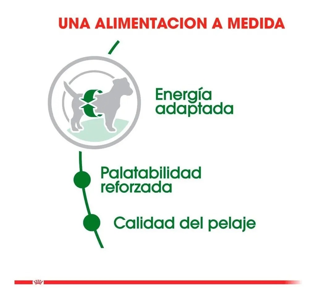 Royal Canin Mini Adulto 7.5kg  Envío Gratis Todo Chile !