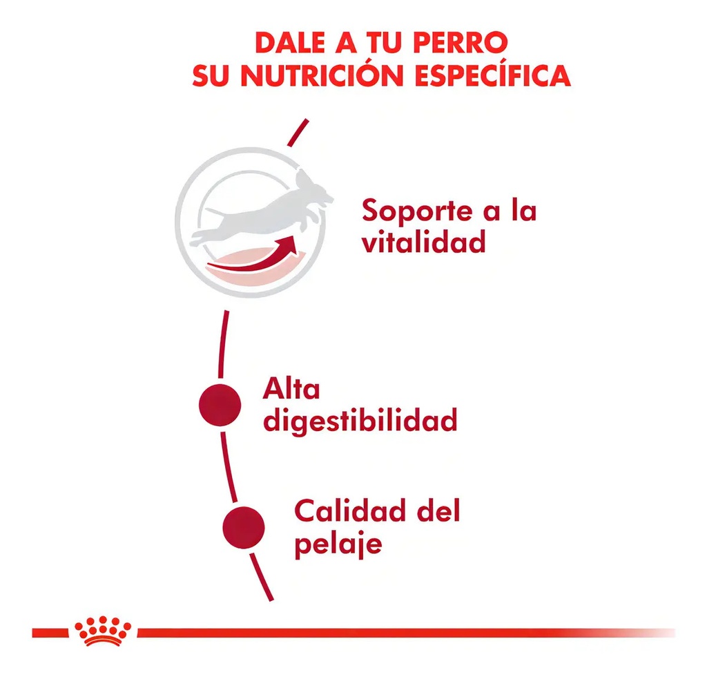 Alimento Royal Canin Size Health Nutrition Medium Adult 7+ Para Perro Senior De Raza Mediana Sabor Mezcla