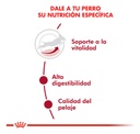 Alimento Royal Canin Size Health Nutrition Medium Adult 7+ Para Perro Senior De Raza Mediana Sabor Mezcla