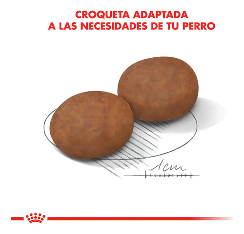 Alimento Royal Canin Size Health Nutrition Medium Adult 7+ Para Perro Senior De Raza Mediana Sabor Mezcla
