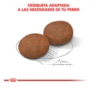 Alimento Royal Canin Size Health Nutrition Medium Adult 7+ Para Perro Senior De Raza Mediana Sabor Mezcla