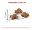 Royal Canin Kitten Esterilizados 4 Kg  Barato !!!!!  