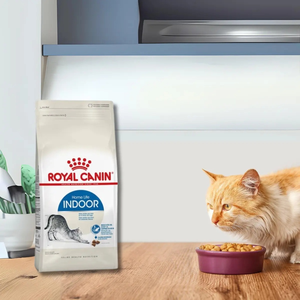 Royal Canin Indoor Gato Adulto X 7.5 Kg