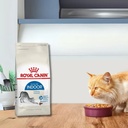 Royal Canin Indoor Gato Adulto X 7.5 Kg