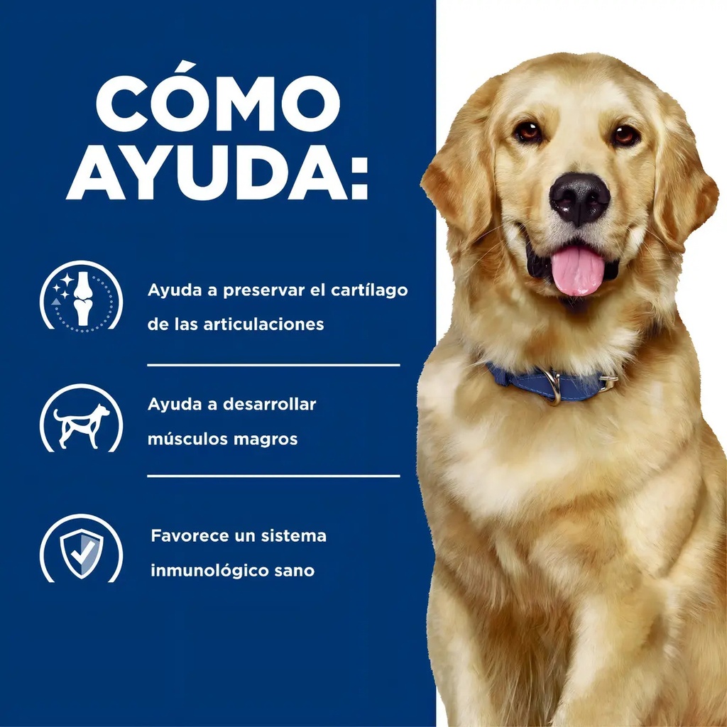 Alimento Hill's Pet Nutrition Perro Adulto Sabor Pollo Bolsa De 12.5kg