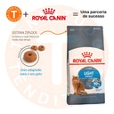 Alimento Royal Canin Feline Care Nutrition Light Para Gato Adulto Los Tamaños Sabor Mix De 1.5 Kg