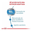Alimento Royal Canin Feline Care Nutrition Light Para Gato Adulto Los Tamaños Sabor Mix De 1.5 Kg