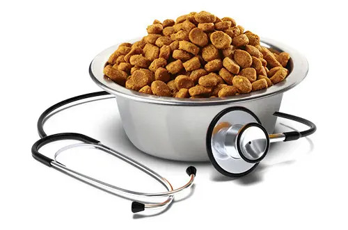 Vetlife Renal Gato Saco 7,5kg
