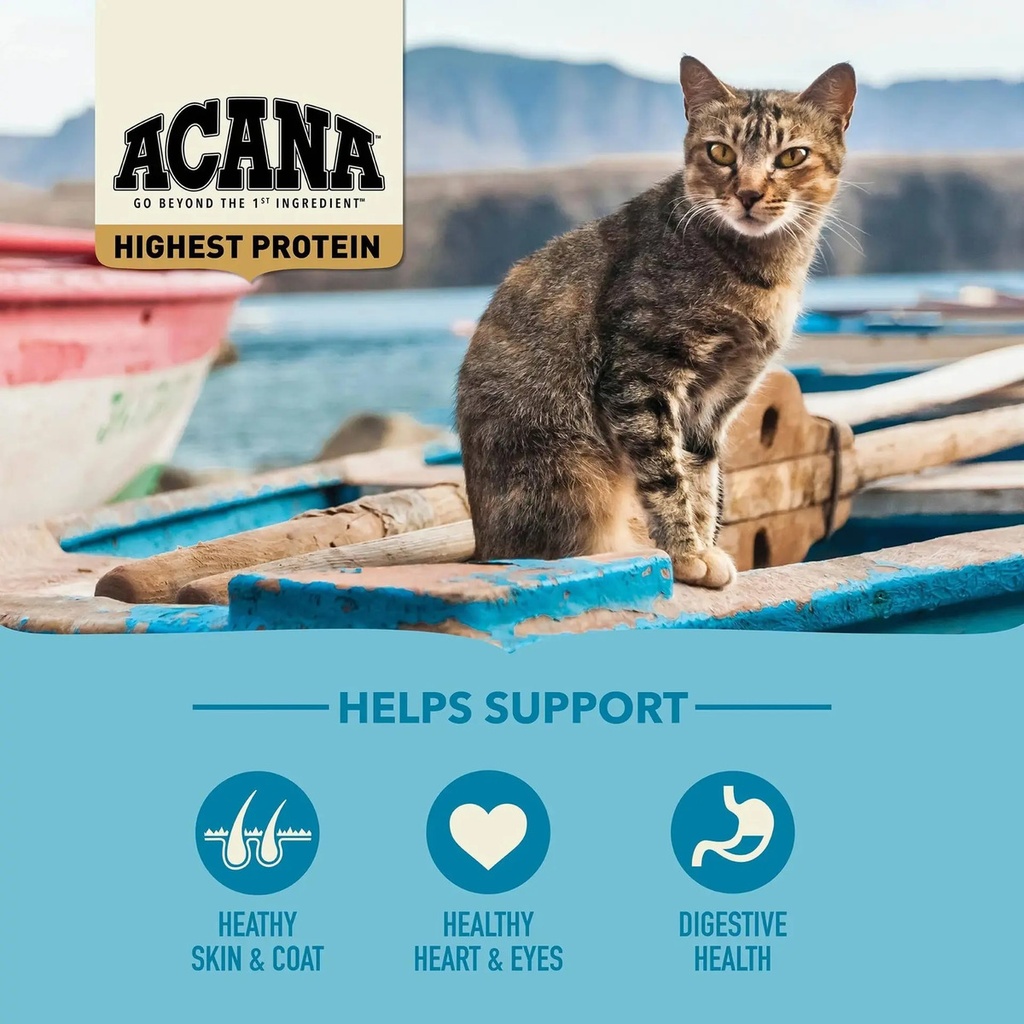 Acana Wild Atlantic Gato Adulto 1.8 Kg