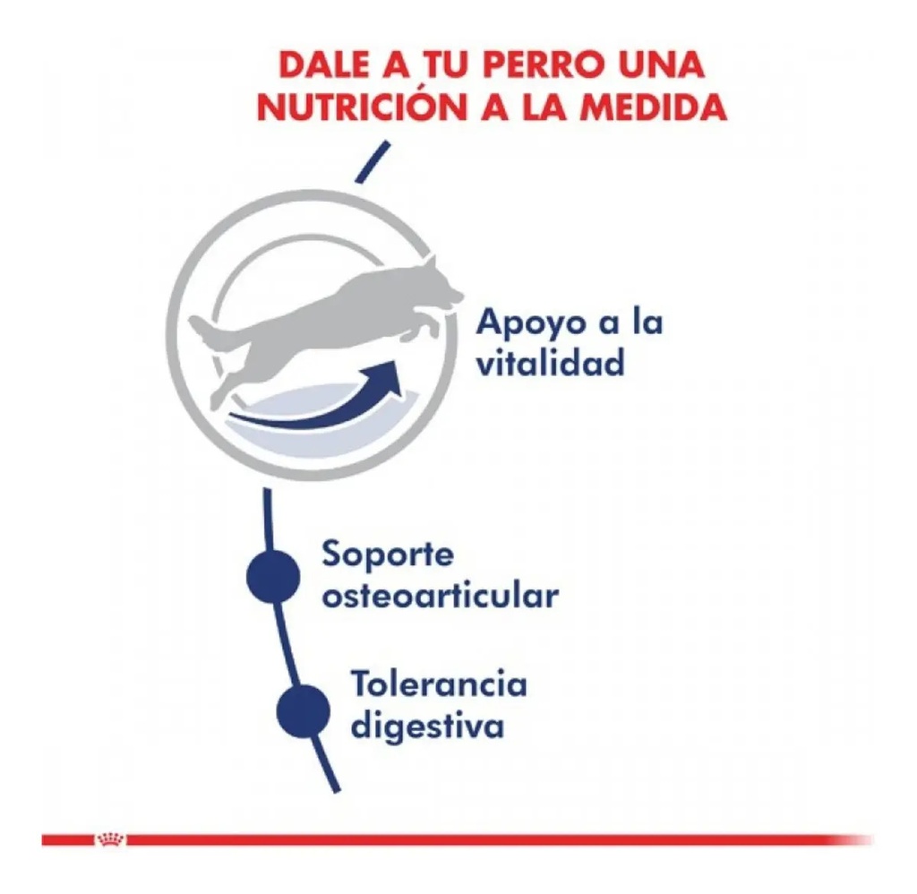 Royal Canin Maxi Adulto 5+ 12kg. Np