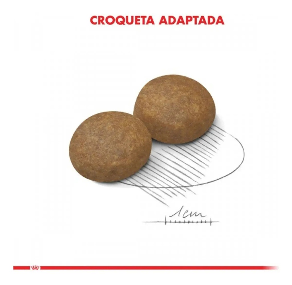 Royal Canin Maxi Adulto 5+ 12kg. Np