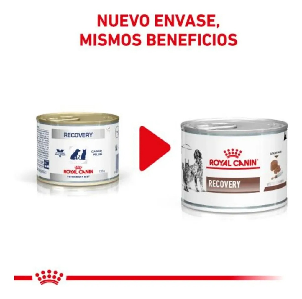 X12 Alimento Royal Canin Veterinary Diet Recovery 145g X12