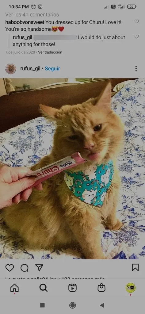 Snack Cremoso Churu De Atún Para Gatos 4 Tubos