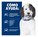 Alimento Hill's Prescription Diet Urinary Care C/d Multicare Para Perro Todas Las Edades Todos Los Tamaños Sabor Pollo