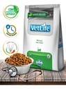 Vetlife Renal Gato Saco 2kg