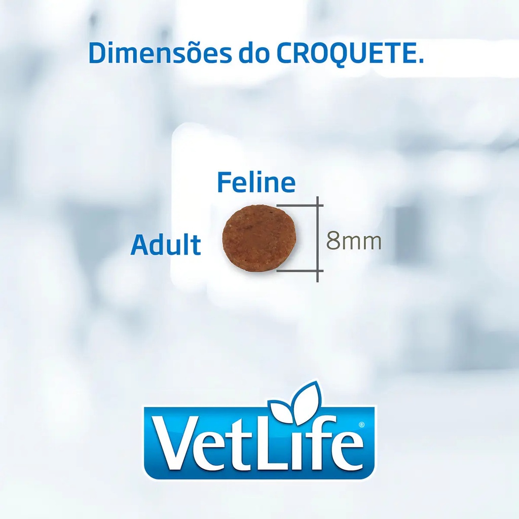 Vetlife Renal Gato Saco 2kg