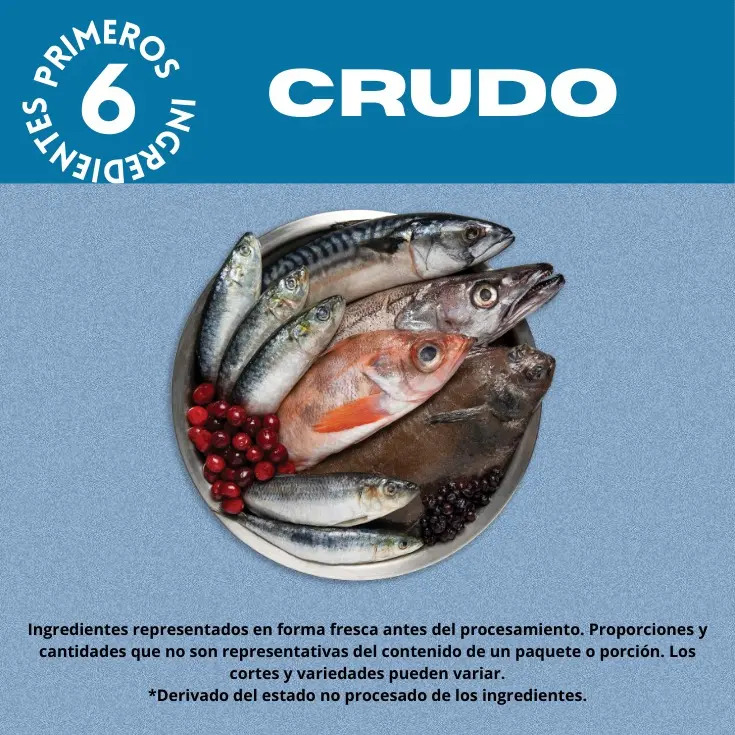 Alimento Orijen Six Fish Para Perro Todas Las Edades Los Tamaños Sabor Pescado En Bolsa De 5.9kg
