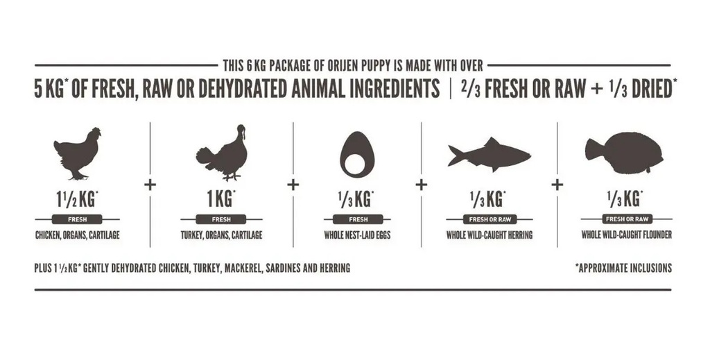 Alimento Seco Orijen Para Cachorros Sabor Pollo Pescado 10.6 Kg