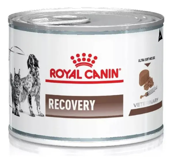 24 Latas Recovery Royal Canin 145g