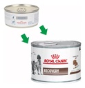 24 Latas Recovery Royal Canin 145g