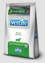 Vetlife Renal Perro Saco 10,1kg