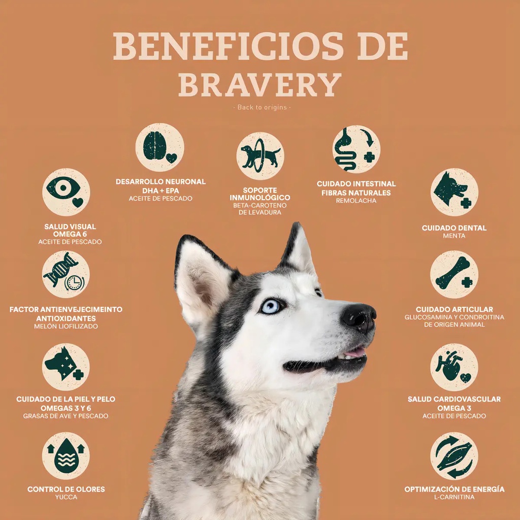 Alimento Bravery Salmón Perro Adulto Raza Mediana Y Grande 12 Kg