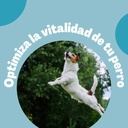 Agility Adulto Raza Pequeña 15kg