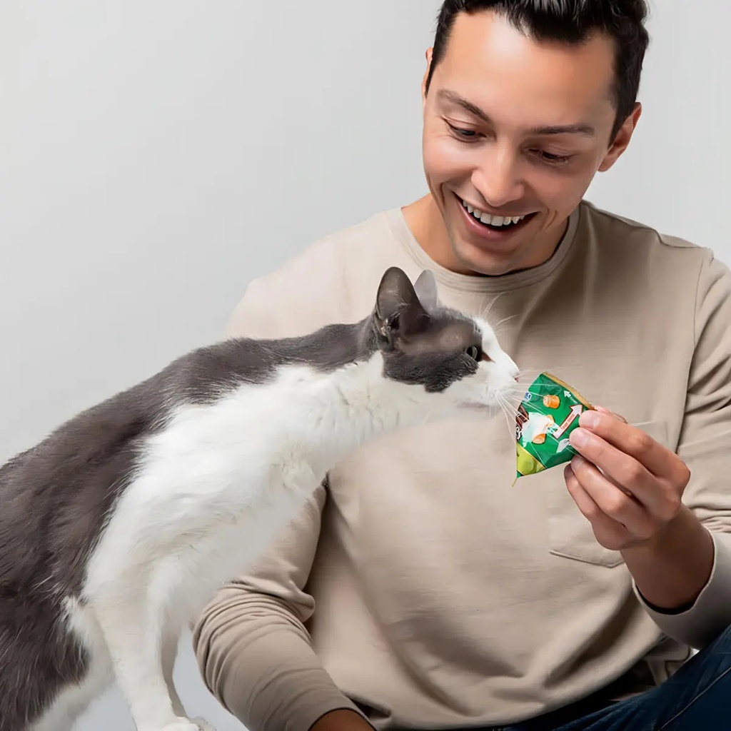 Snack Gatos Inaba Churu Fun Bites Pollo 60gr