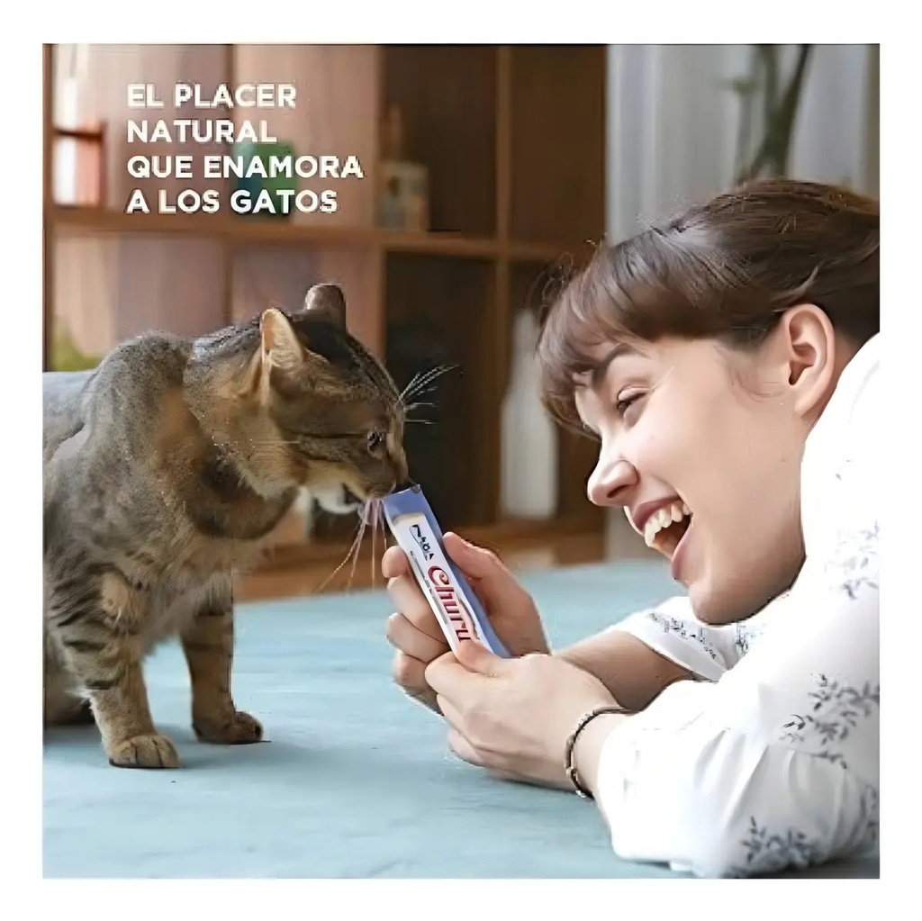 Snack Para Gato Inaba Churu Pops 60 Gr