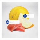 N&d Ocean Gato Adulto Castrado Salmon Saco 1,5kg