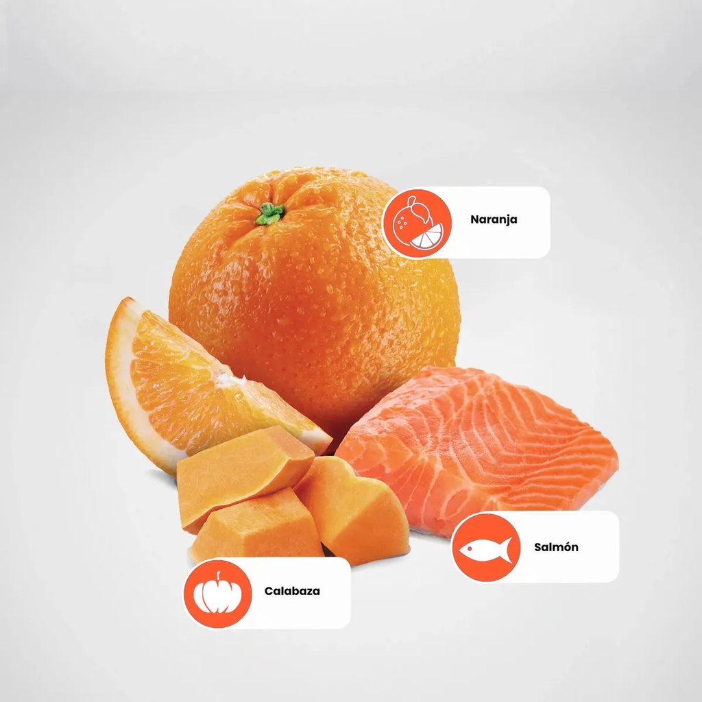 N&d Calabaza Gato Adulto Salmon, Calabaza Y Naranja Saco 1,5kg