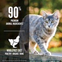 Alimento Orijen Original Cat Para Gato Sabor Mezcla