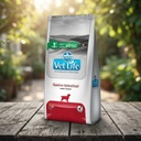 Alimento Seco Vet Life Gastrointestinal Para Perros Adultos De Todas Las Razas, 10.1 Kg