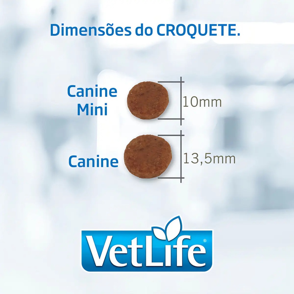 Vetlife Hipoalergenico Perro Saco 10,1kg