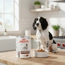 Royal Canin Gastro Canine Lata 385gr