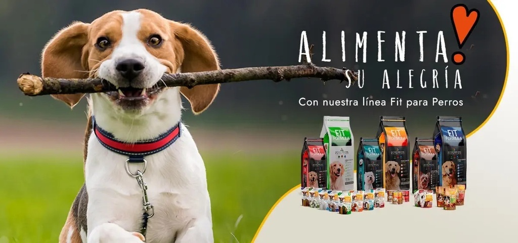 Fit Formula Premium Alimento Perro Adulto Raza Mediana Y Grande 20kg