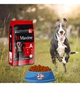 Alimento Seco Perro Maxine Adulto Super Premium 21kg Protector Oral