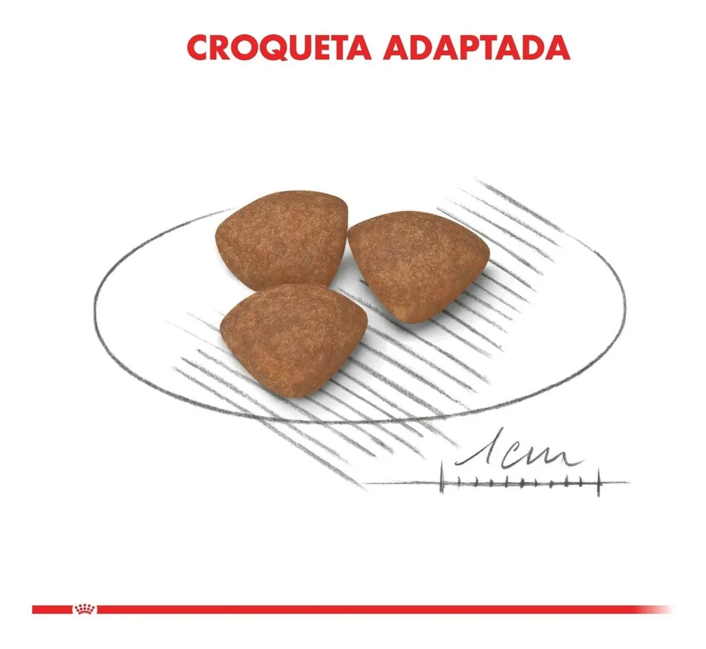Alimento Royal Canin Size Health Nutrition Mini Junior Para Perro Cachorro De Raza Pequeña Sabor Mezcla