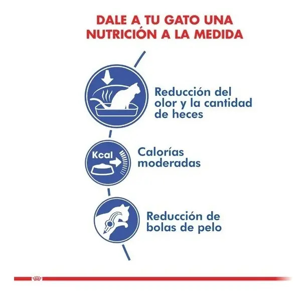 Alimento Royal Canin Feline Health Nutrition Indoor 27 Para Gato Adulto Todos Los Tamaños Sabor Mezcla